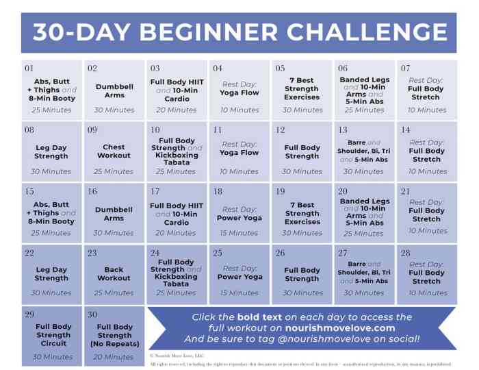 Fitness Plan for Beginners